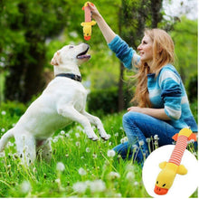 Load image into Gallery viewer, Pofar [12 Parck] Dog Toys Set with Ropes Chew Flying Squeak Frisbee Ball and Training Toys