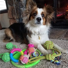 Load image into Gallery viewer, Pofar [12 Parck] Dog Toys Set with Ropes Chew Flying Squeak Frisbee Ball and Training Toys